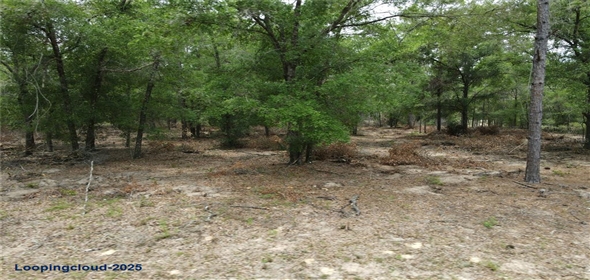 8123 N YELLOWBIRD AVENUE Dunnellon Florida, 34434 | For Sale at DUNNELLON