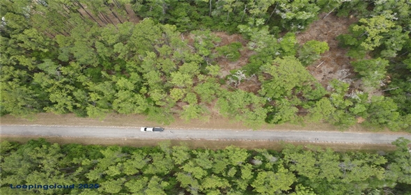 8123 N YELLOWBIRD AVENUE Dunnellon Florida, 34434 | For Sale at DUNNELLON