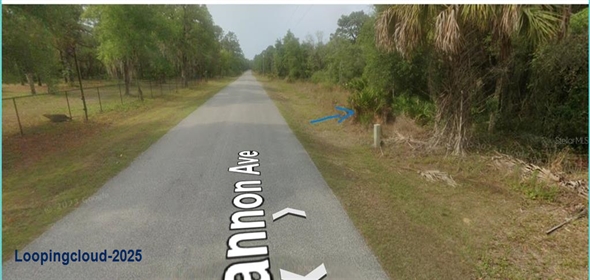 8186 N SHANNON AVENUE Crystal River Florida, 34428 | For Sale at CRYSTAL RIVER