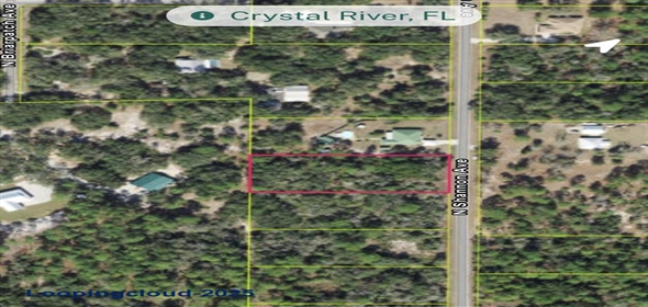 8186 N SHANNON AVENUE Crystal River Florida, 34428 | For Sale at CRYSTAL RIVER