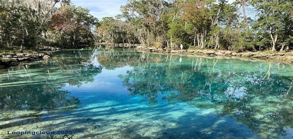 8186 N SHANNON AVENUE Crystal River Florida, 34428 | For Sale at CRYSTAL RIVER