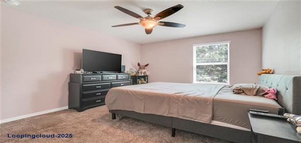 5101 GRASSY KNOLL DRIVE Tavares Florida, 32778 | Single Family Residence 4 Bedrooms 2889SqFt at TAVARES