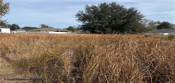 0 DOGWOOD DR CIRCLE Ocala Florida, 34472 | For Sale at OCALA