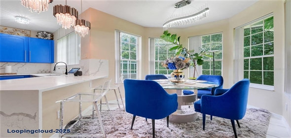 11026 TAEDA DRIVE Orlando Florida, 32832 | Single Family Residence 4 Bedrooms 2924SqFt at ORLANDO