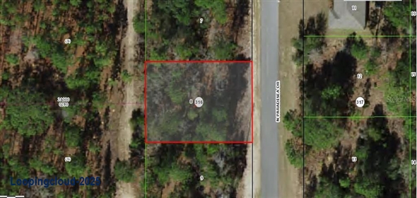 9120 N PARADISEA DRIVE Citrus Springs Florida, 34433 | For Sale at CITRUS SPRINGS