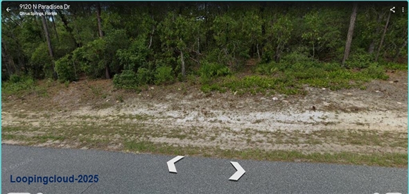 9120 N PARADISEA DRIVE Citrus Springs Florida, 34433 | For Sale at CITRUS SPRINGS