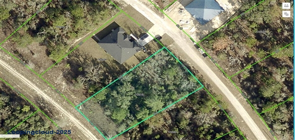 14265 EARLINE ROAD Brooksville Florida, 34614 | For Sale at BROOKSVILLE