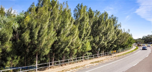 1811 LAKE DRIVE Casselberry Florida, 32707 | For Sale at CASSELBERRY