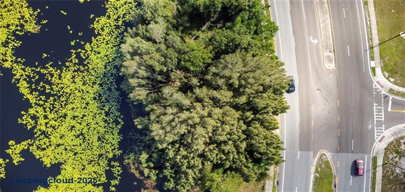 1811 LAKE DRIVE Casselberry Florida, 32707 | For Sale at CASSELBERRY