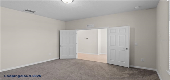 13871 CARLOW PARK DRIVE Riverview Florida, 33579 | Single Family Residence 4 Bedrooms 2847SqFt at RIVERVIEW