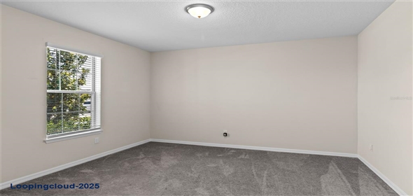 13871 CARLOW PARK DRIVE Riverview Florida, 33579 | Single Family Residence 4 Bedrooms 2847SqFt at RIVERVIEW