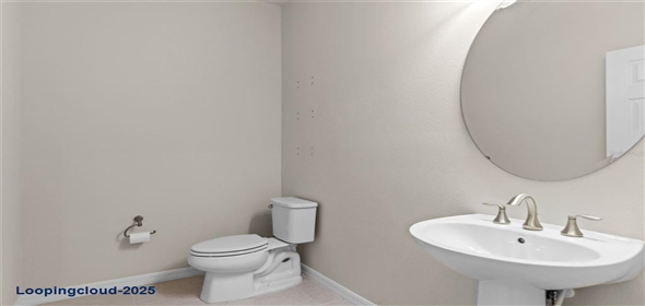 13871 CARLOW PARK DRIVE Riverview Florida, 33579 | Single Family Residence 4 Bedrooms 2847SqFt at RIVERVIEW