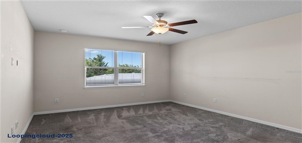 13871 CARLOW PARK DRIVE Riverview Florida, 33579 | Single Family Residence 4 Bedrooms 2847SqFt at RIVERVIEW