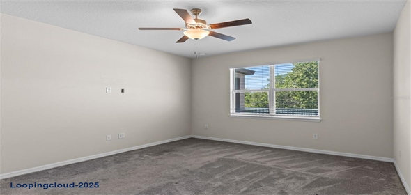 13871 CARLOW PARK DRIVE Riverview Florida, 33579 | Single Family Residence 4 Bedrooms 2847SqFt at RIVERVIEW