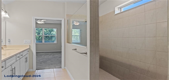 13871 CARLOW PARK DRIVE Riverview Florida, 33579 | Single Family Residence 4 Bedrooms 2847SqFt at RIVERVIEW