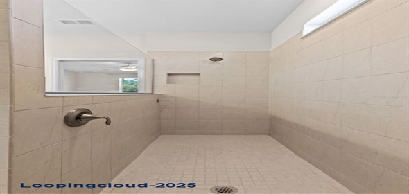 13871 CARLOW PARK DRIVE Riverview Florida, 33579 | Single Family Residence 4 Bedrooms 2847SqFt at RIVERVIEW