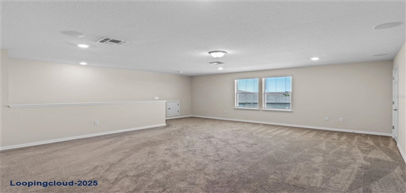 13871 CARLOW PARK DRIVE Riverview Florida, 33579 | Single Family Residence 4 Bedrooms 2847SqFt at RIVERVIEW