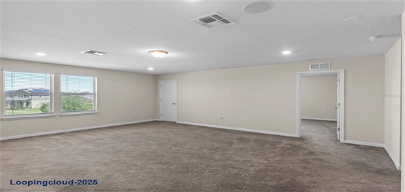 13871 CARLOW PARK DRIVE Riverview Florida, 33579 | Single Family Residence 4 Bedrooms 2847SqFt at RIVERVIEW