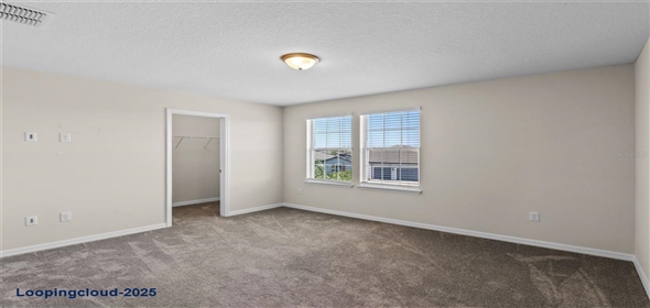 13871 CARLOW PARK DRIVE Riverview Florida, 33579 | Single Family Residence 4 Bedrooms 2847SqFt at RIVERVIEW