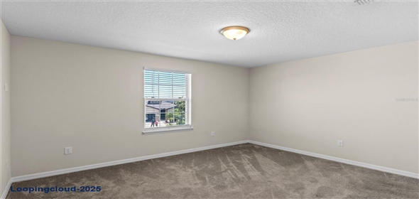 13871 CARLOW PARK DRIVE Riverview Florida, 33579 | Single Family Residence 4 Bedrooms 2847SqFt at RIVERVIEW