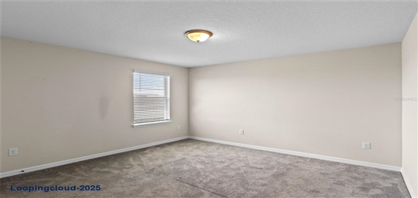 13871 CARLOW PARK DRIVE Riverview Florida, 33579 | Single Family Residence 4 Bedrooms 2847SqFt at RIVERVIEW