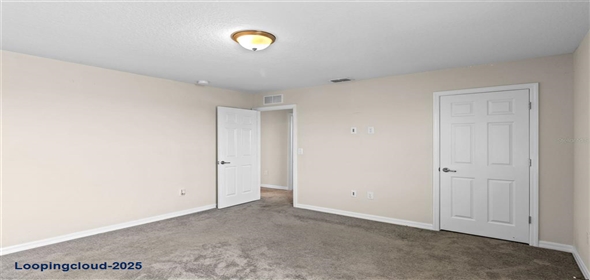 13871 CARLOW PARK DRIVE Riverview Florida, 33579 | Single Family Residence 4 Bedrooms 2847SqFt at RIVERVIEW