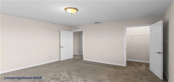 13871 CARLOW PARK DRIVE Riverview Florida, 33579 | Single Family Residence 4 Bedrooms 2847SqFt at RIVERVIEW