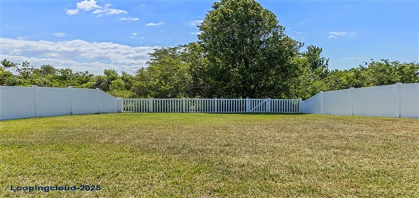 13871 CARLOW PARK DRIVE Riverview Florida, 33579 | Single Family Residence 4 Bedrooms 2847SqFt at RIVERVIEW