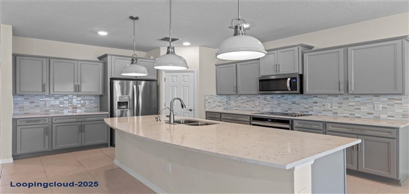 13871 CARLOW PARK DRIVE Riverview Florida, 33579 | Single Family Residence 4 Bedrooms 2847SqFt at RIVERVIEW