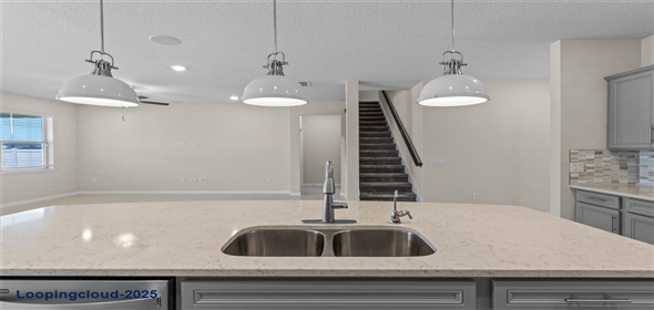 13871 CARLOW PARK DRIVE Riverview Florida, 33579 | Single Family Residence 4 Bedrooms 2847SqFt at RIVERVIEW