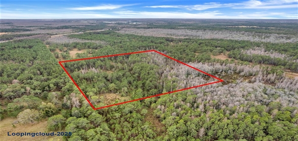 Unincorp/Swfwmd Polk City Florida, 33868 | Lot For Sale at POLK CITY