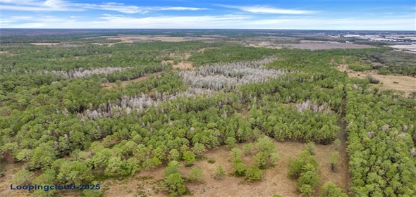 Unincorp/Swfwmd Polk City Florida, 33868 | Lot For Sale at POLK CITY