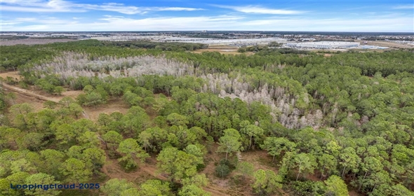 Unincorp/Swfwmd Polk City Florida, 33868 | Lot For Sale at POLK CITY