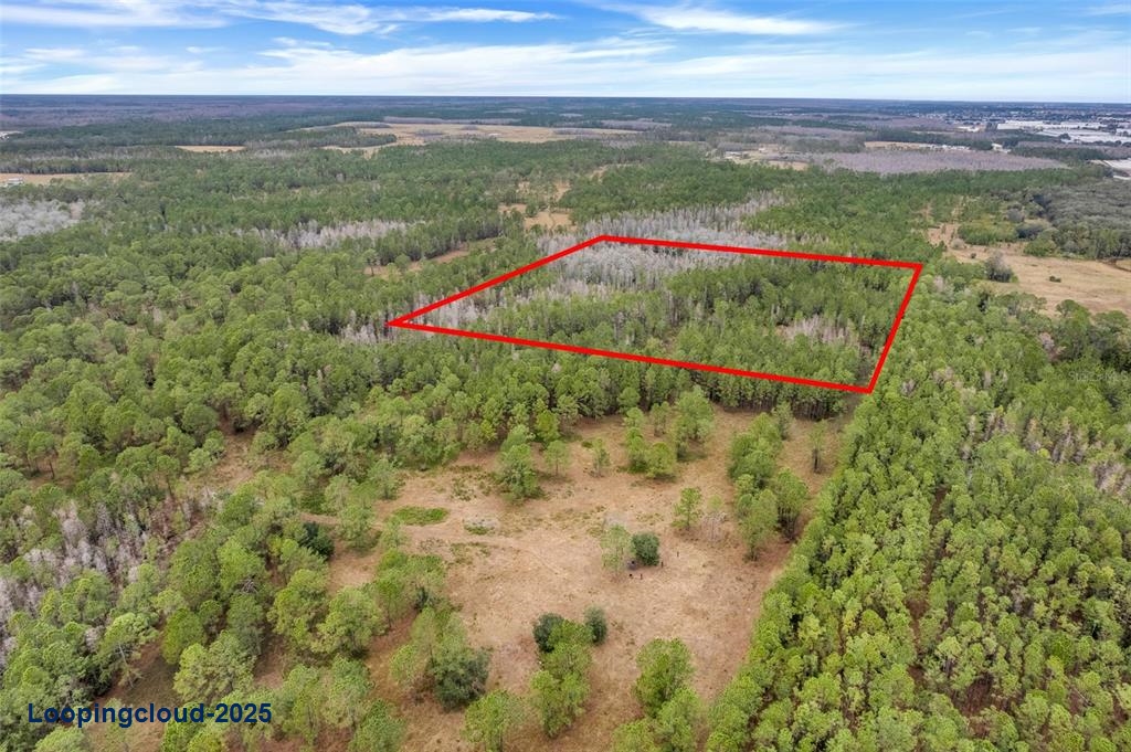 Lot For Sale at POLK CITY