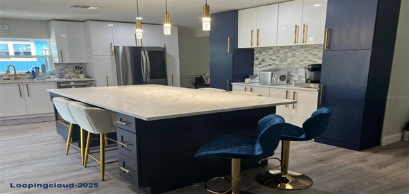 11223 COUNTY ROAD 223 Oxford Florida, 34484 | Single Family Residence 3 Bedrooms 2244SqFt at OXFORD