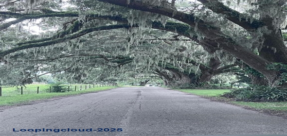 11223 COUNTY ROAD 223 Oxford Florida, 34484 | Single Family Residence 3 Bedrooms 2244SqFt at OXFORD