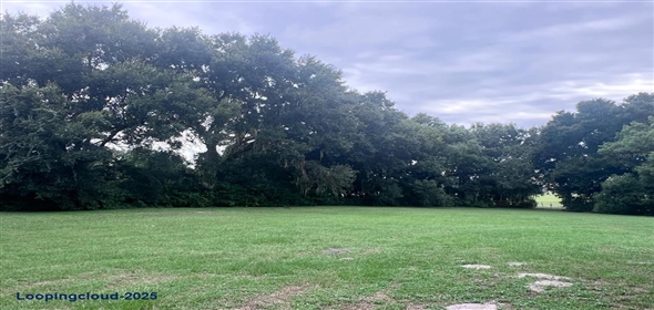 11223 COUNTY ROAD 223 Oxford Florida, 34484 | Single Family Residence 3 Bedrooms 2244SqFt at OXFORD