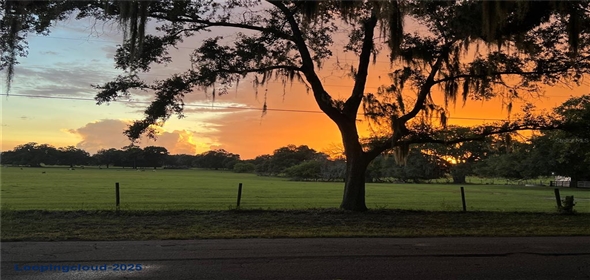 11223 COUNTY ROAD 223 Oxford Florida, 34484 | Single Family Residence 3 Bedrooms 2244SqFt at OXFORD