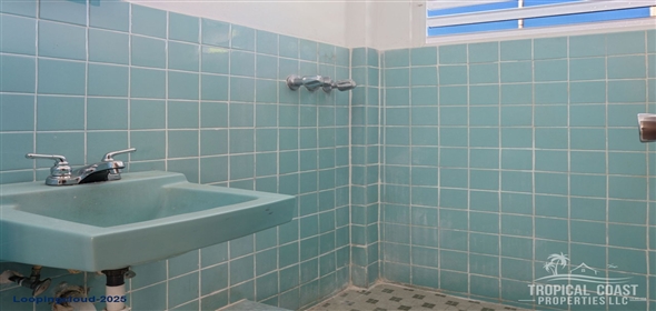 SECTOR COMBATE- CARR 3301 Cabo Rojo Puerto Rico, 00623 | Commercial & residential building generating income