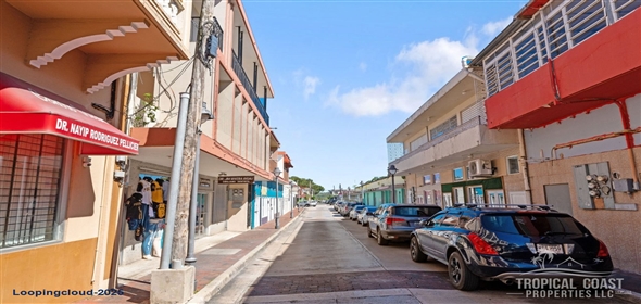 SECTOR COMBATE- CARR 3301 Cabo Rojo Puerto Rico, 00623 | Commercial & residential building generating income