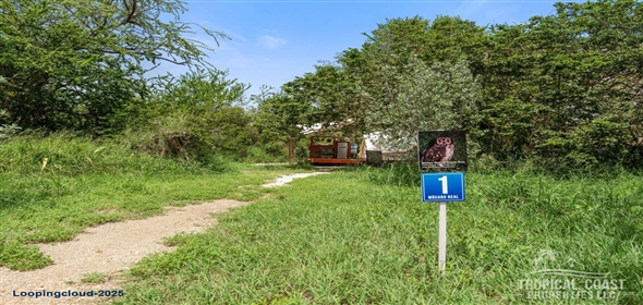 Bo Llanos Costa- Carr 303 KM 11.3- Pitahaya Glamping Cabo Rojo Puerto Rico, 00622 | 62031, Eco-Luxury in Paradise – Turn-Key Glamping Awaits