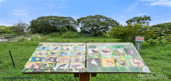 Bo Llanos Costa- Carr 303 KM 11.3- Pitahaya Glamping Cabo Rojo Puerto Rico, 00622 | 62031, Eco-Luxury in Paradise – Turn-Key Glamping Awaits