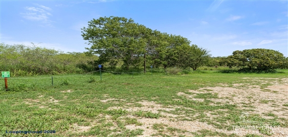 Bo Llanos Costa- Carr 303 KM 11.3- Pitahaya Glamping Cabo Rojo Puerto Rico, 00622 | 62031, Eco-Luxury in Paradise – Turn-Key Glamping Awaits