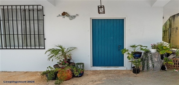 Bo Guayabo- Carr 414 KM 6.0 Aguadilla Puerto Rico, 00602 | 60859, Live Upstairs, Run your Business Downstairs the Perfect Live-work Opportunity