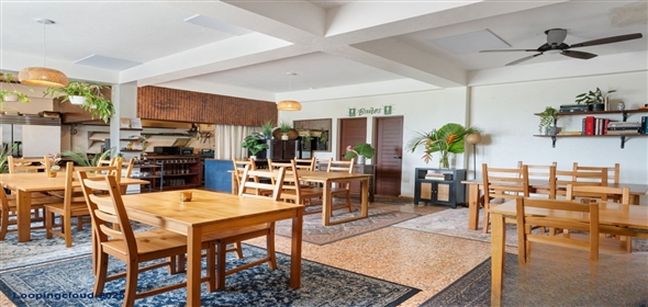 Bo Guayabo- Carr 414 KM 6.0 Aguadilla Puerto Rico, 00602 | 60859, Live Upstairs, Run your Business Downstairs the Perfect Live-work Opportunity