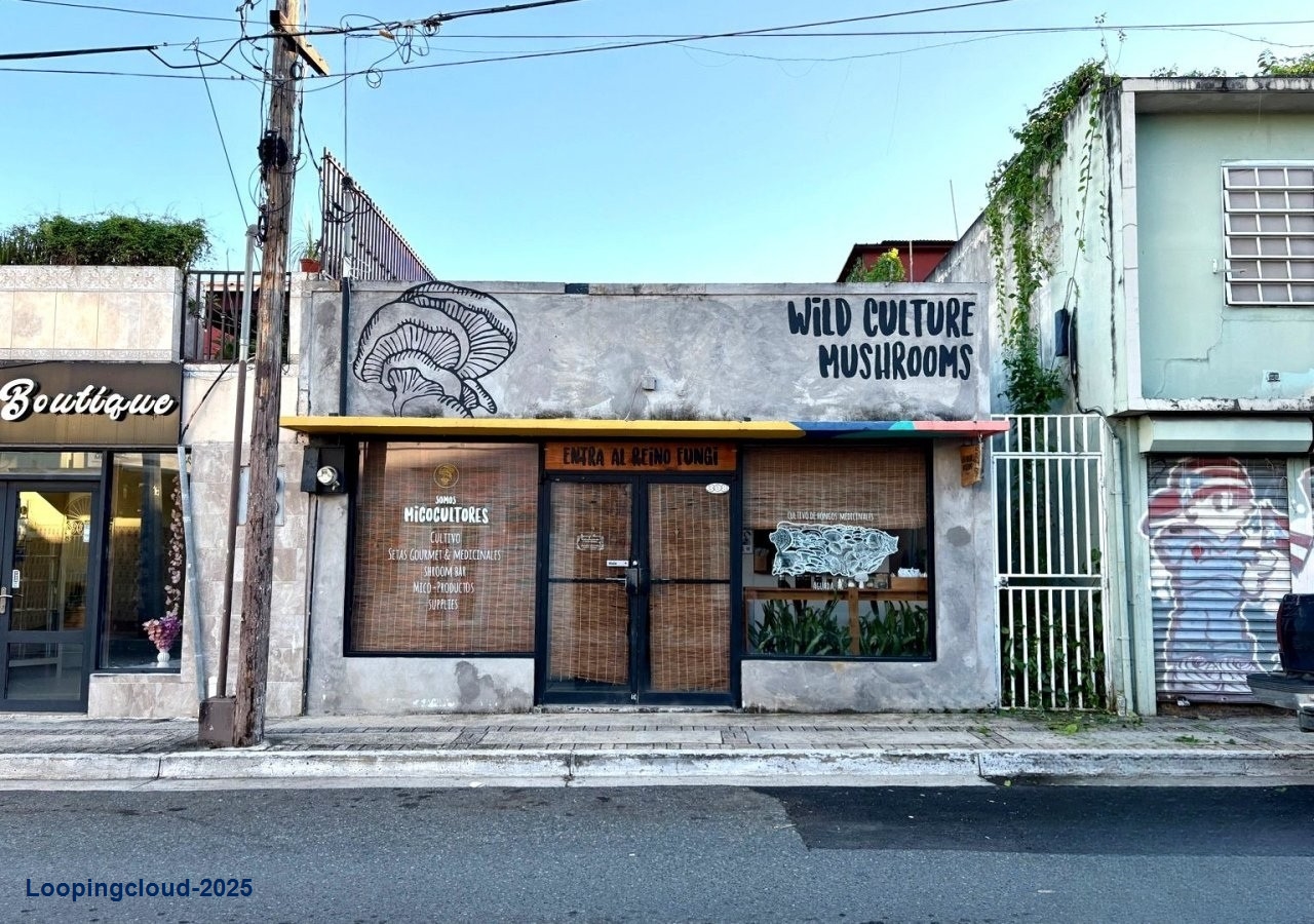 Commercial Property for Sale in Aguadilla Puerto Rico 00602