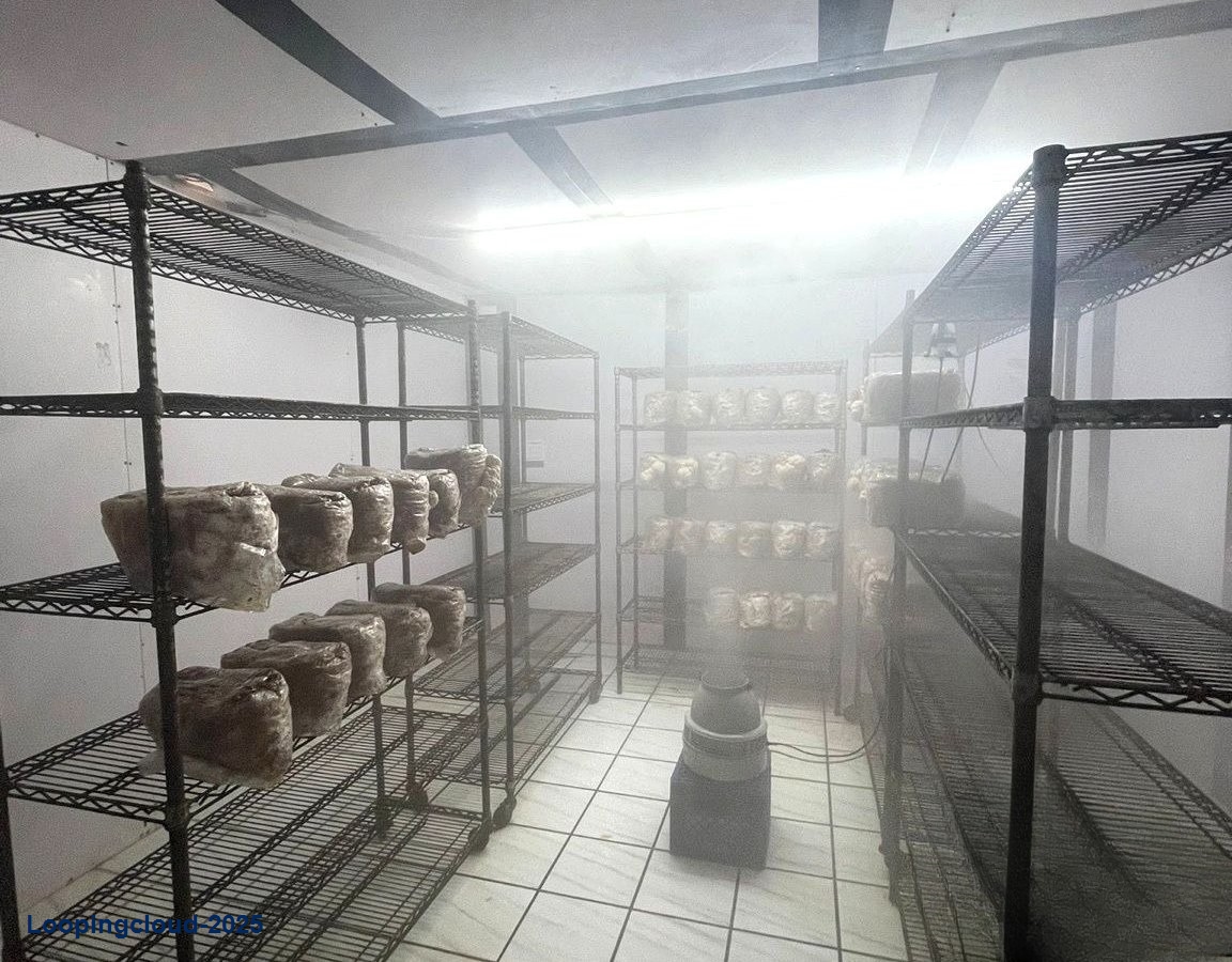 Commercial Property for Sale in Aguadilla Puerto Rico 00602