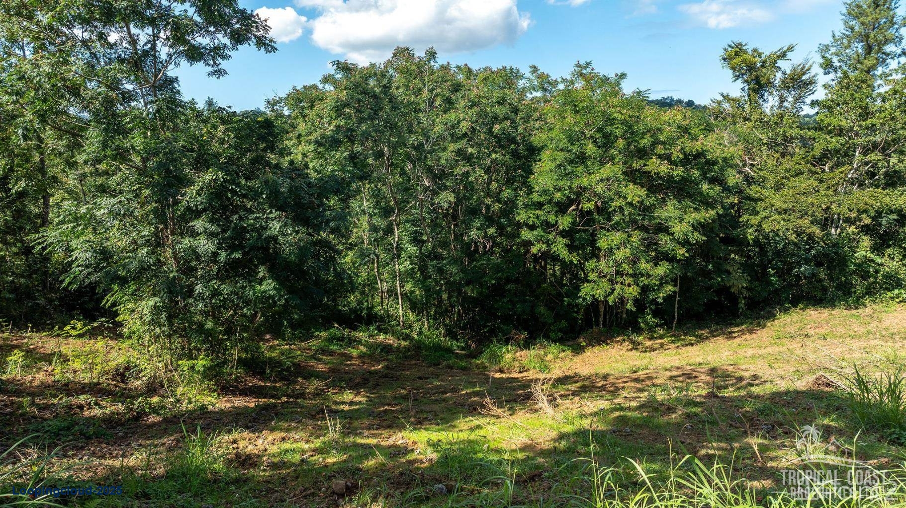 Commercial Property for Sale in Aguadilla Puerto Rico 00676