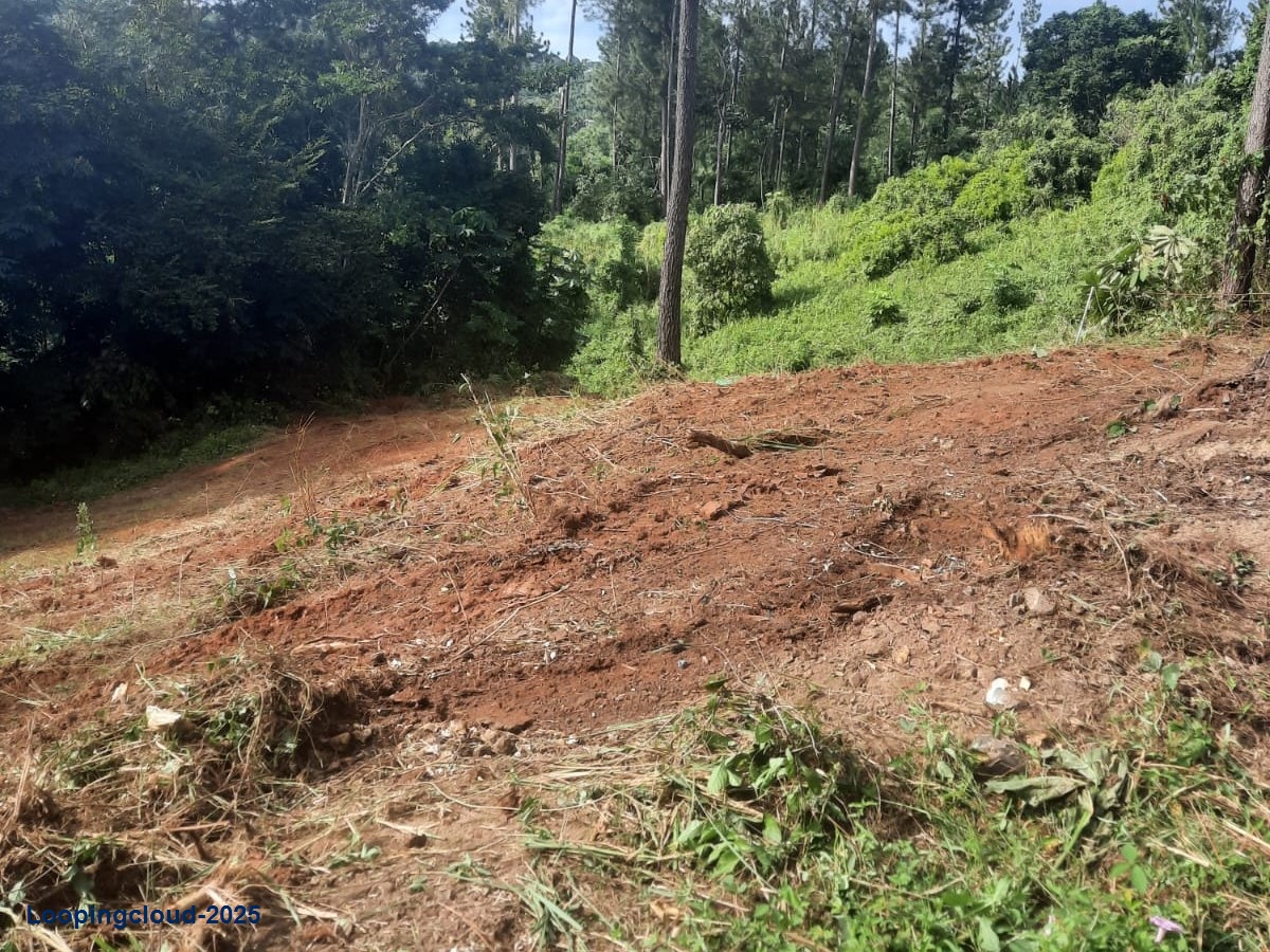 Commercial Property for Sale in Aguadilla Puerto Rico 00676