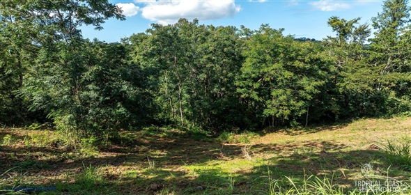 Bo. Naranjo Aguadilla Puerto Rico, 00676 | 53456, 3.07 acres of privacy, fertile soil, and flowing water